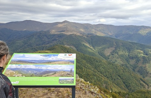 Rezultatele evaluării cererilor de finanțare - Programul Spații Verzi - 2026